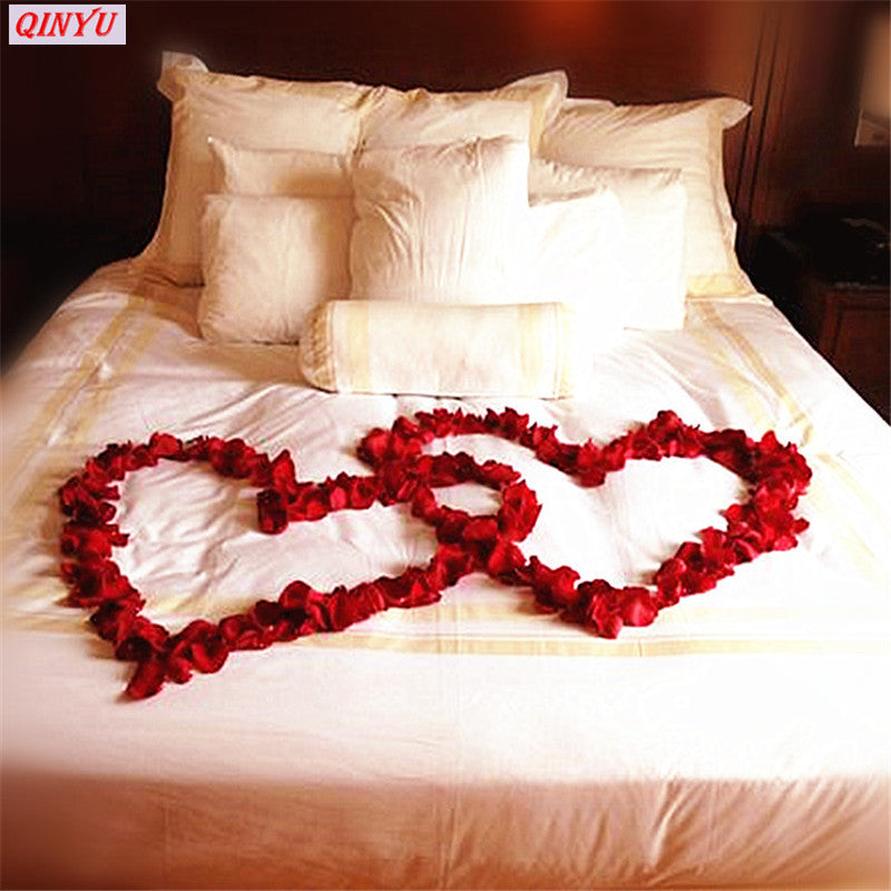 Paquet de 300 pétales de roses